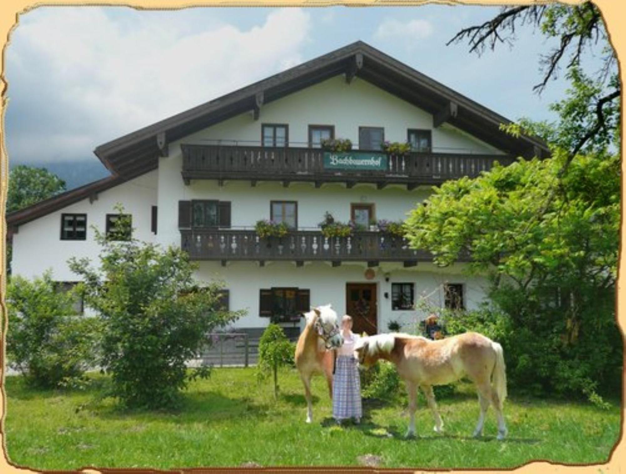 Bachbauernhof Apartment Bayerisch Gmain Exterior photo